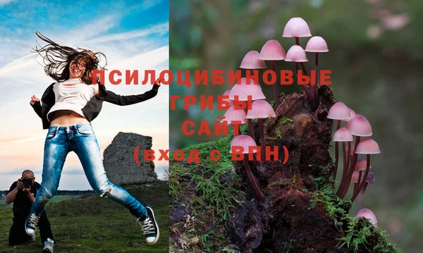 наркотики Володарск