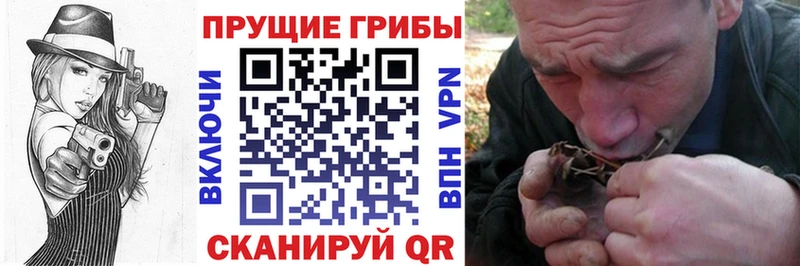 Галлюциногенные грибы GOLDEN TEACHER  Новокузнецк 